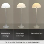 kf-Sef1b727a04b2458abb3d68990db52bcf7